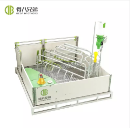 How to Choose the Right Farrowing Crate for Pig Farm