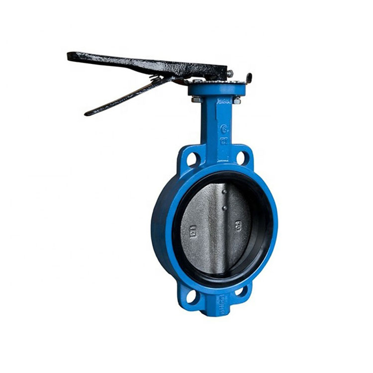The Internal Components of a Butterfly Valve