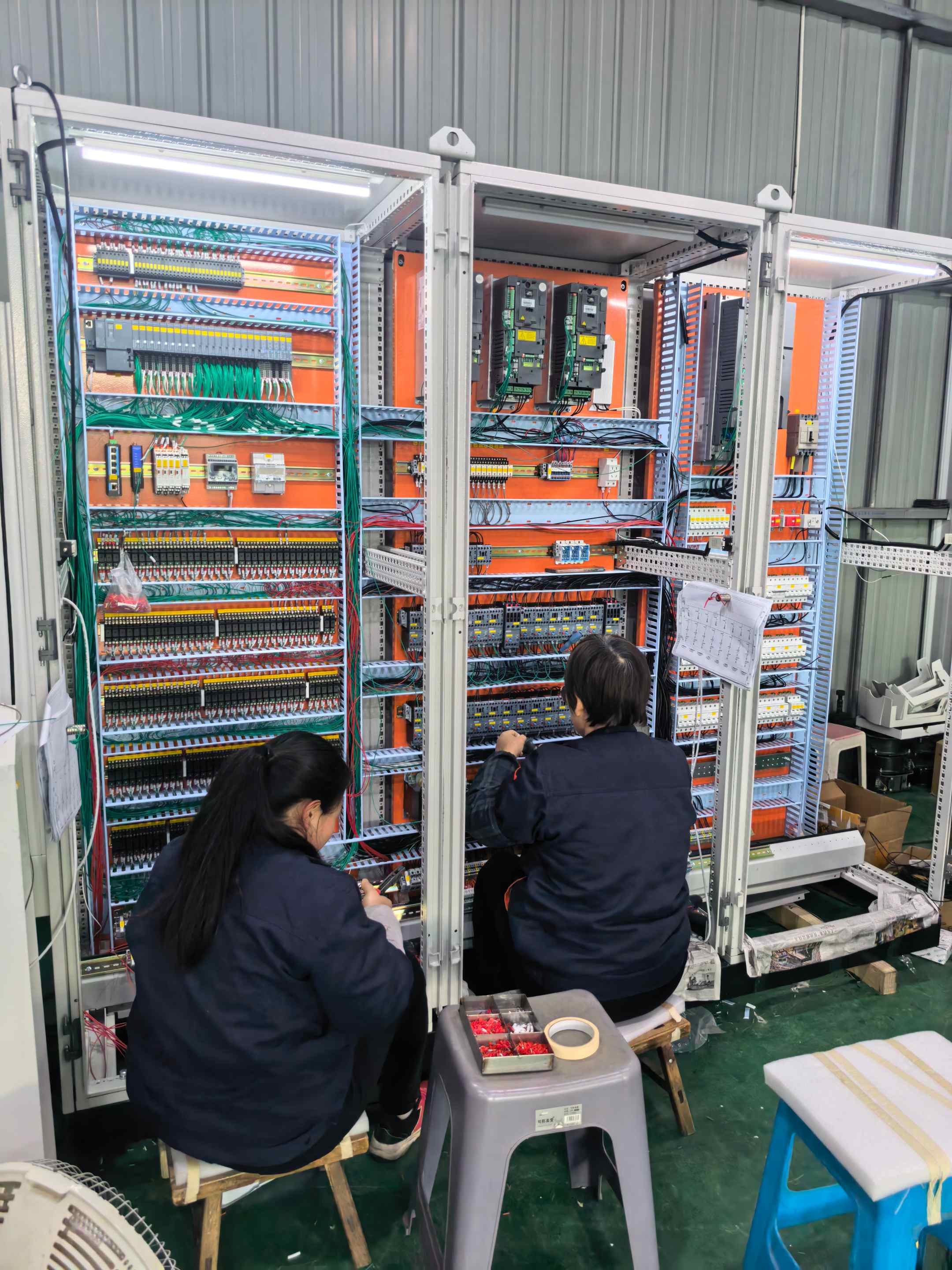 China Feeding System Advancements in Precision Livestock Nutrition